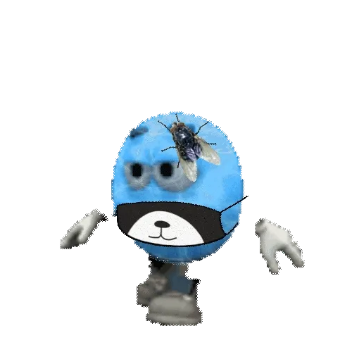Jooejoejoe