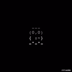owls. exzibbi. edition. #15