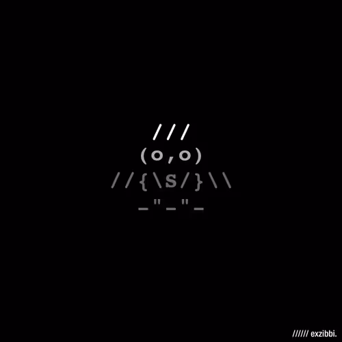 Excotro Owls