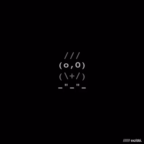 Excotro Owls