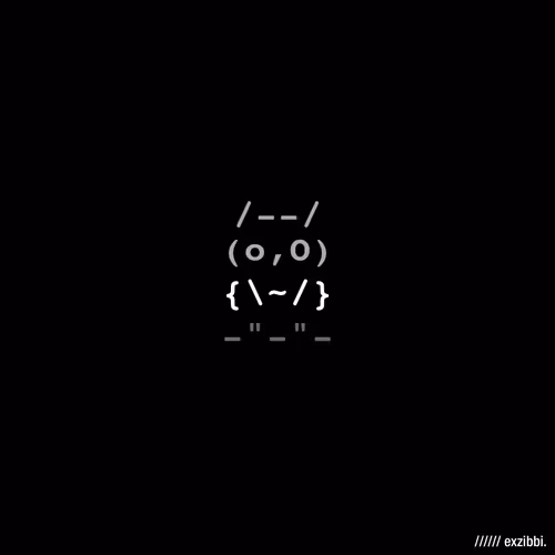 Excotro Owls