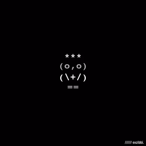 Excotro Owls