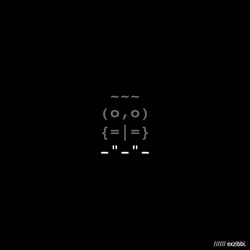 owls. exzibbi. edition. #620