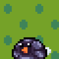 Dininho Pets #370