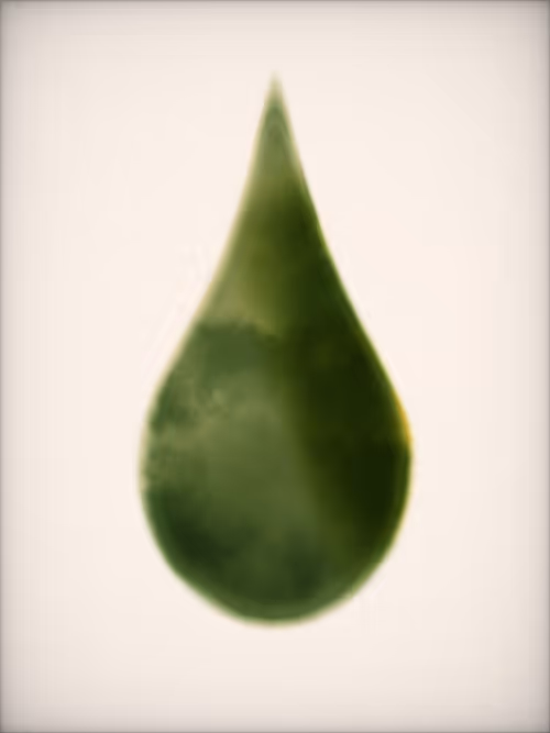 Item #1946215347 Media