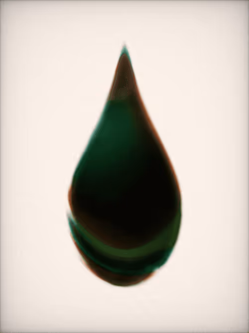 Item #218932349 Media