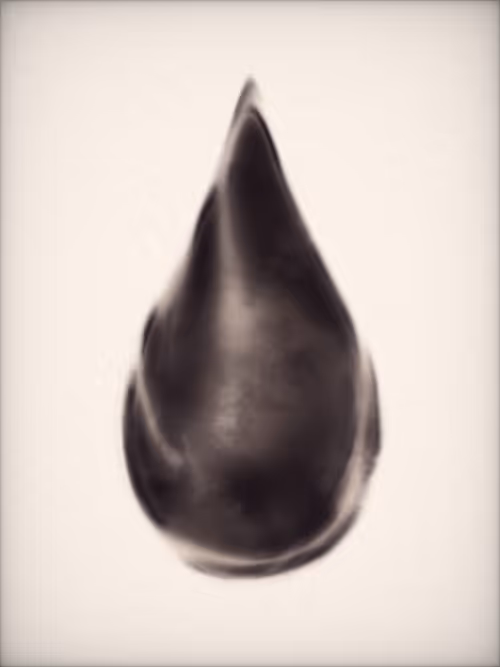 Item #3505953923 Media