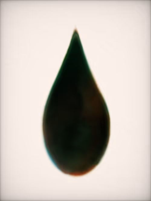 Item #2127990009 Media