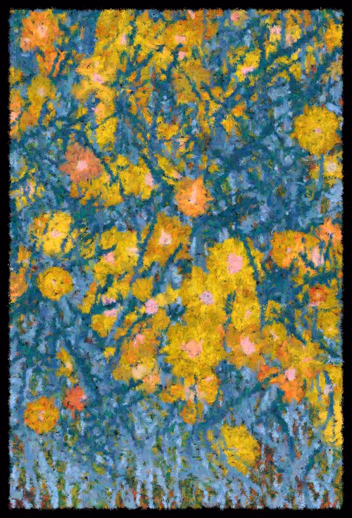 Item #1126398236 Media