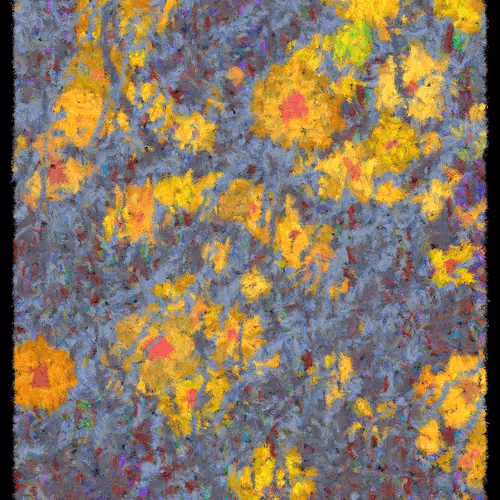 Blooms By Cory Haber