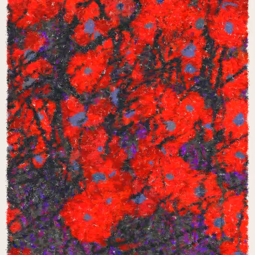 Blooms by Cory Haber