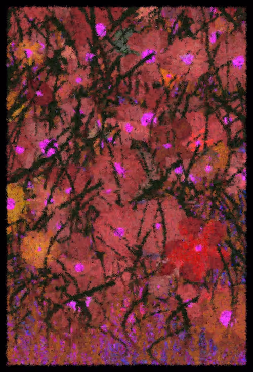 Item #2045094923 Media