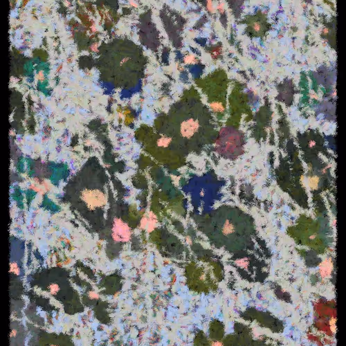 Blooms By Cory Haber