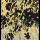 1127624866