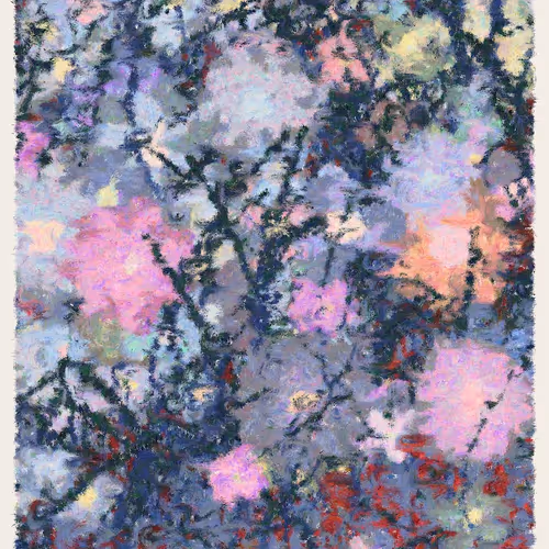 Blooms By Cory Haber