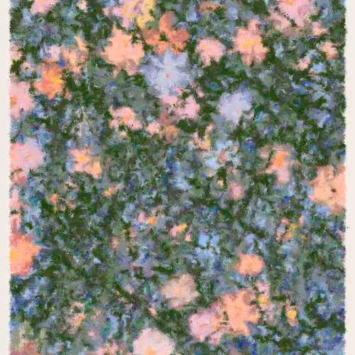 Blooms By Cory Haber