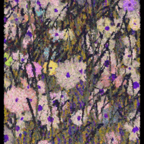 Blooms By Cory Haber