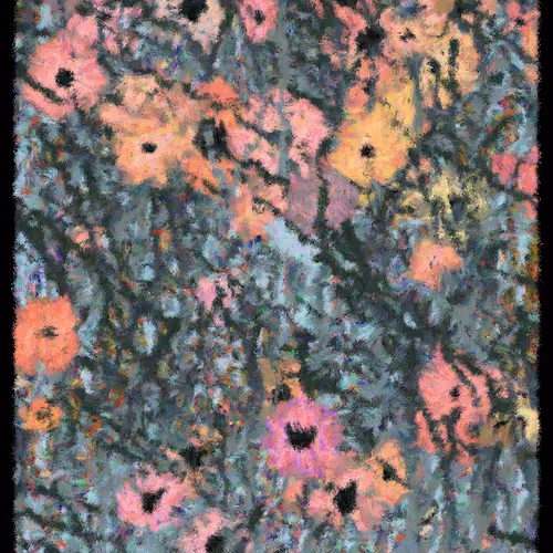 Blooms By Cory Haber