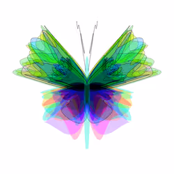 Butterflies #326