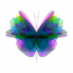 Butterflies #519