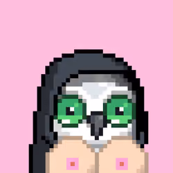 BoobBirds #1491