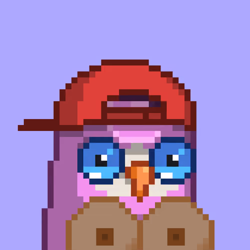 BoobBirds #795