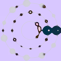 64