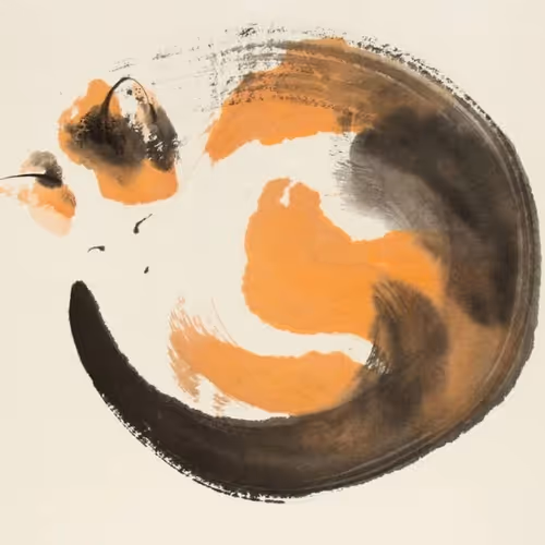 cat - JPyD3QP5HB