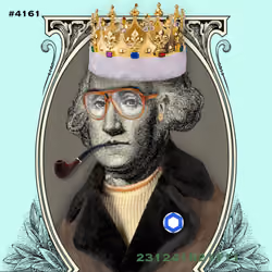Washington #4161