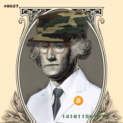 Washington #8037