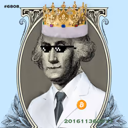 Washington #6808