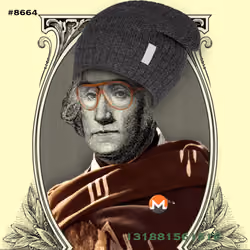 Washington #8664
