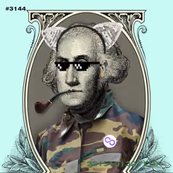 Washington #3144