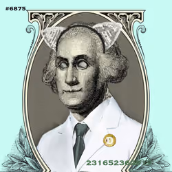 Washington #6875