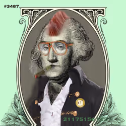 Washington #3487
