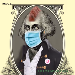 Washington #6773