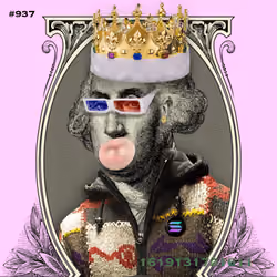 Washington #937