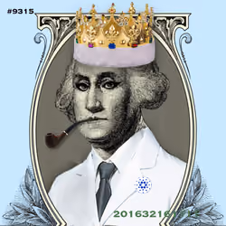 Washington #9315