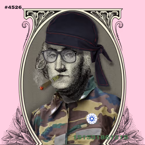 Washington #4526
