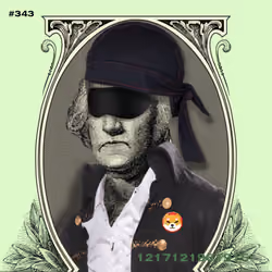 Washington #343