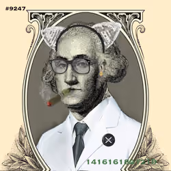 Washington #9247