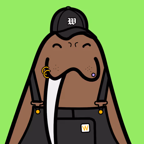 Cute Walrus Club