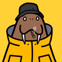 Cute Walrus #1960