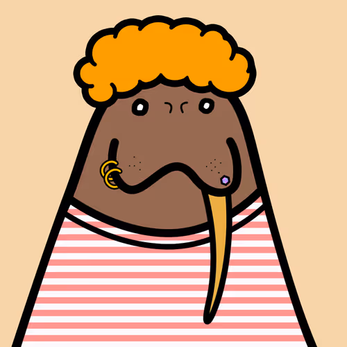 Cute Walrus Club