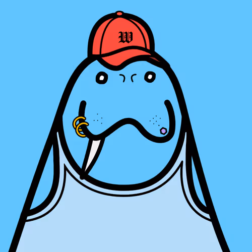 Cute Walrus Club