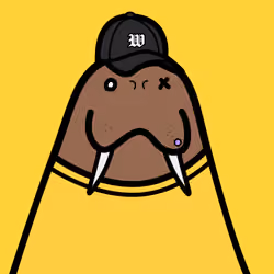 Cute Walrus #934