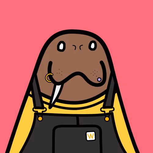Cute Walrus Club
