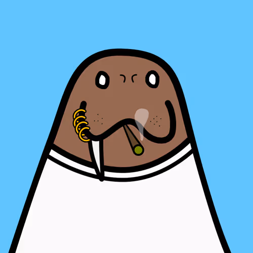 Cute Walrus Club