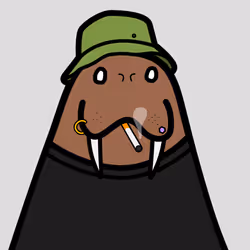Cute Walrus #736