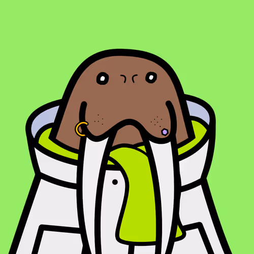 Cute Walrus Club